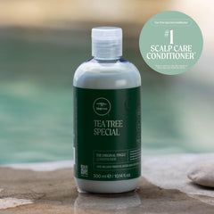 Tea Tree aromatic concept with peppermint and lavender notes for scalp invigoration