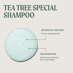 Tea Tree fresh tea tree leaves highlighting natural sourcing benefit