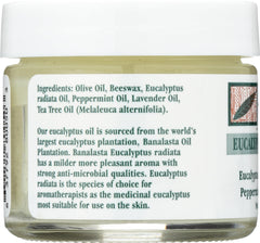 Tea Tree Therapy label detail with ingredient list offering transparency and quality