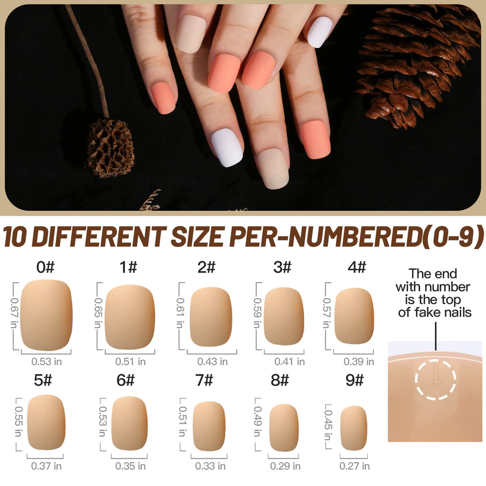 Teenitor color grid of 12 matte shades providing versatile options
