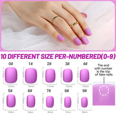 Teenitor 12 matte color grid displaying shade variety for small hands