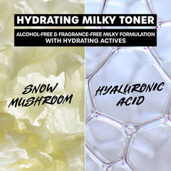 Travel pouch with Thayers toners highlighting on-the-go skincare convenience