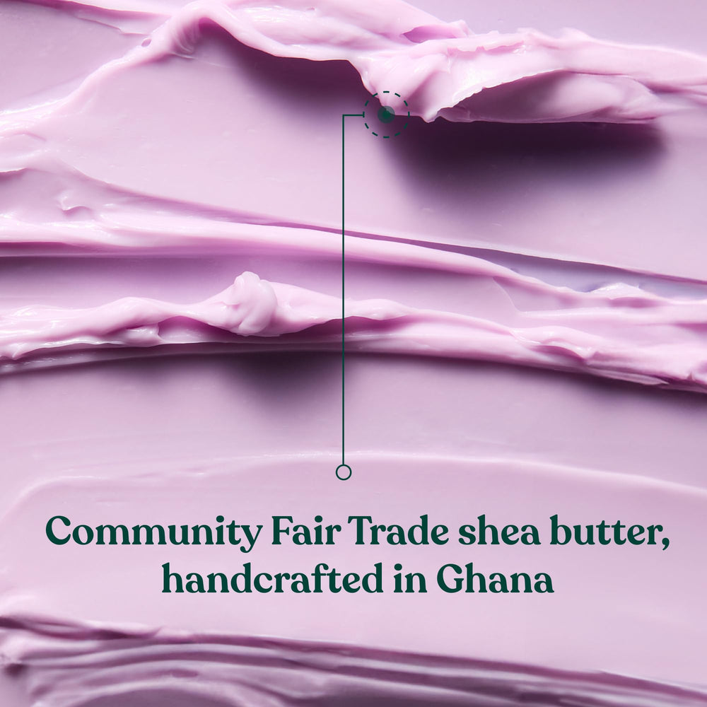 Close-up of shea butter ingredient with The Body Shop branding highlighting nourishing moisturising benefits
