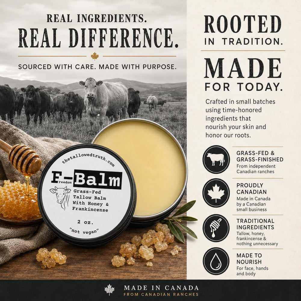 The Tallowed Truth ingredients arranged showing tallow, honey, beeswax, frankincense