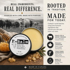 The Tallowed Truth ingredients arranged showing tallow, honey, beeswax, frankincense