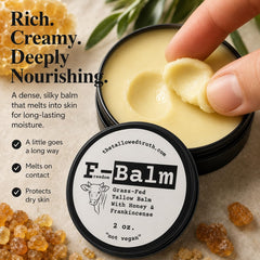 The Tallowed Truth open jar top view showing cream surface and clean finish