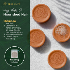 Tree of Life shampoo bar packed in a travel tin at a suitcase for eco-conscious convenience