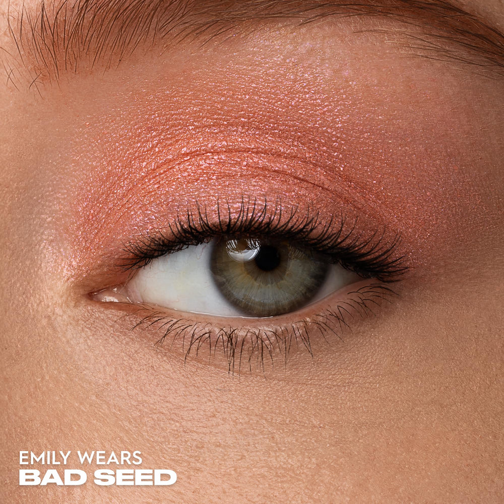 URBAN DECAY close-up of Bad Seed pan texture highlighting smooth blendability