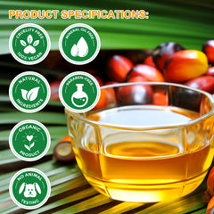 Lifestyle shelf with VXHDAG Batana oil suggesting daily routine benefit