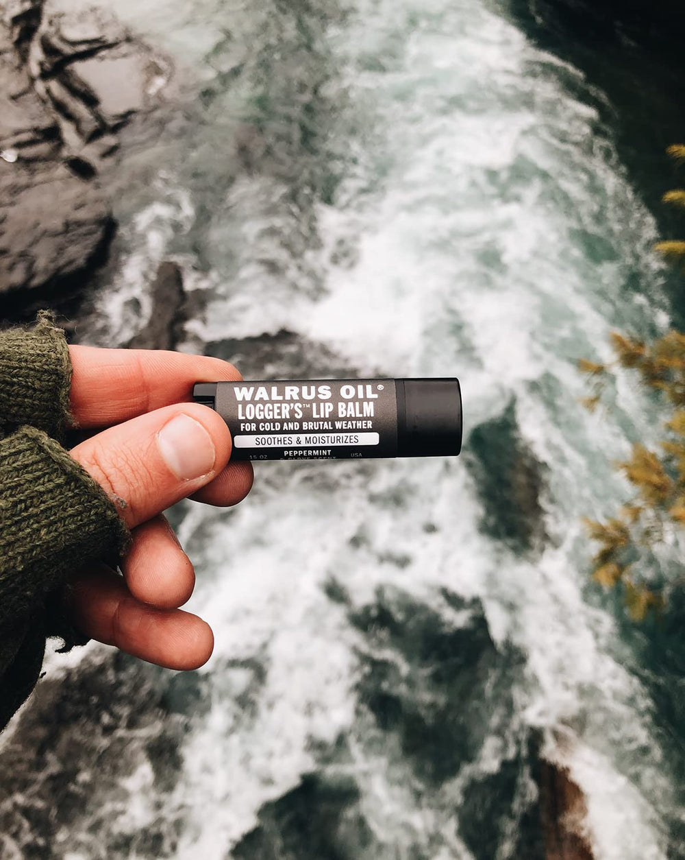Walrus Oil Logger's Lip Balm open tube texture showing smooth balm for quick absorption benefit