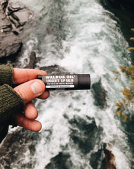 Walrus Oil Logger's Lip Balm open tube texture showing smooth balm for quick absorption benefit