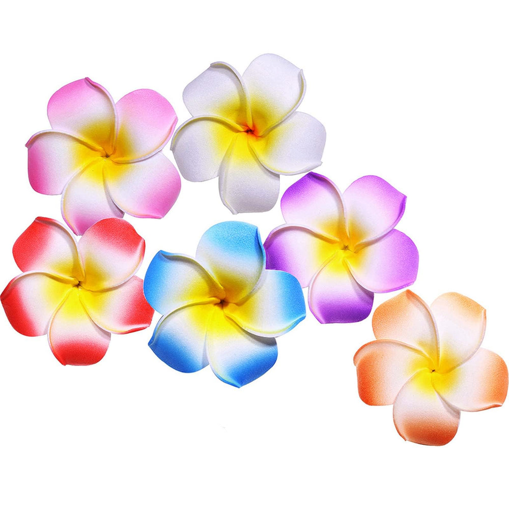 wawou frangipani front packaging showing six colorful clips for easy styling