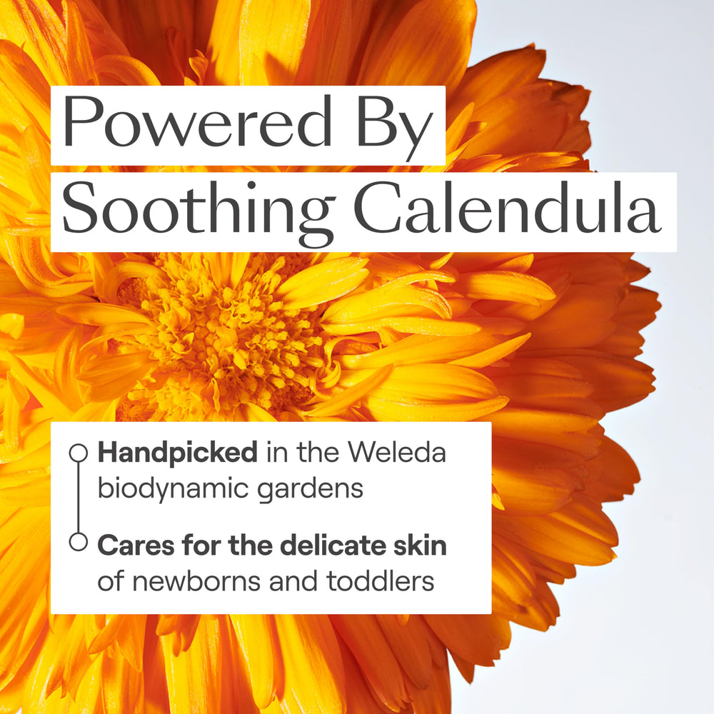 Weleda Calendula cream texture close-up showing smooth, non-greasy finish