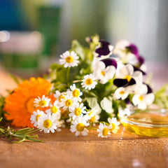 Weleda Skin Food botanicals and oils near jar highlighting natural ingredients