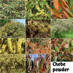 Product label and ingredient list close-up highlighting traditional botanical blend
