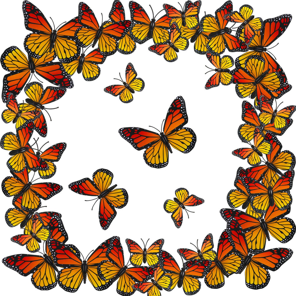 WILLBOND front packaging view showing 24 orange butterfly clips, easy selection benefit
