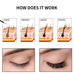 Winxlum serum texture drops highlighting smooth, lightweight formula
