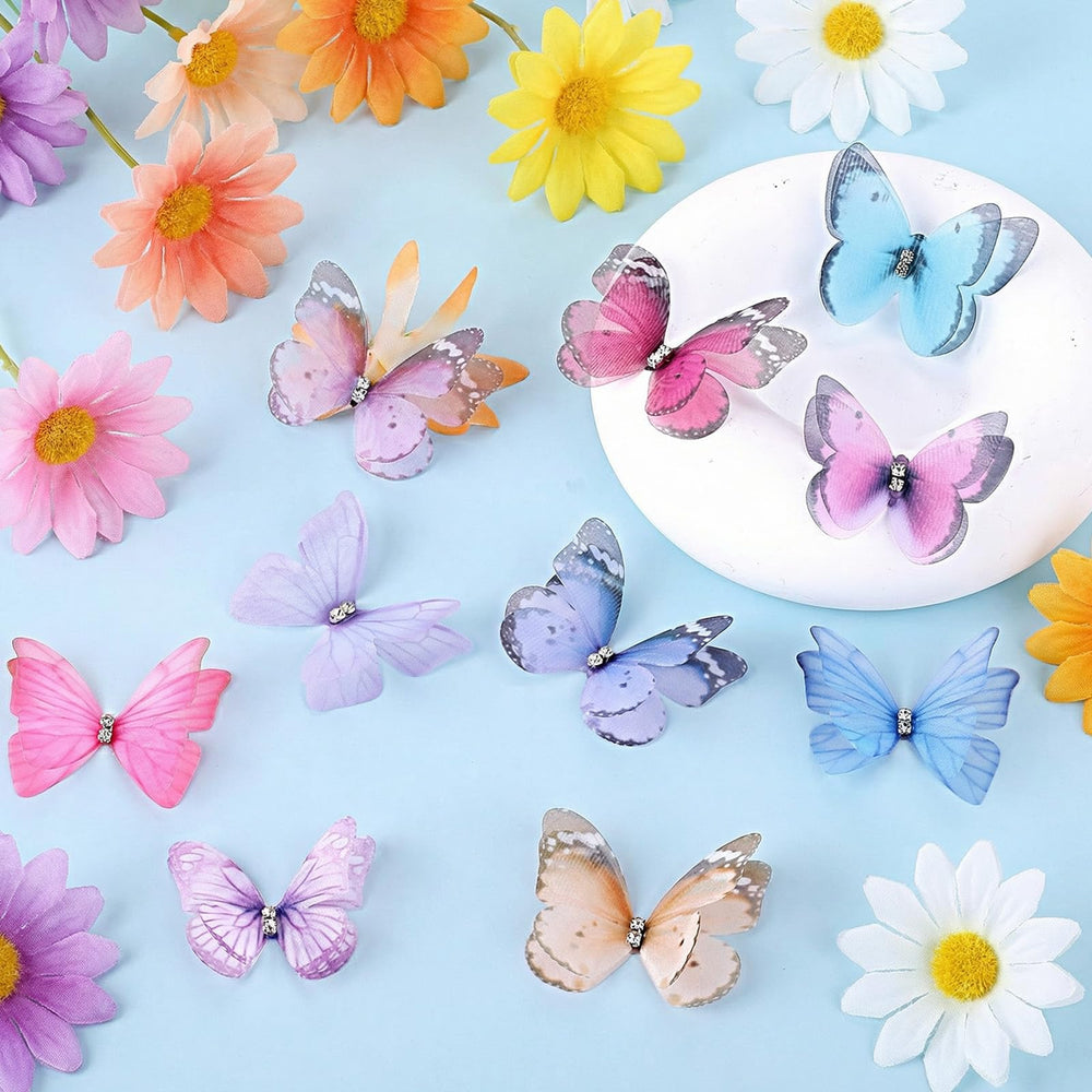 Xelsluthe butterflies beside a ruler for size comparison and placement clarity