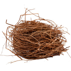YOGI’S GIFT vetiver root steeping in jar to make cooling vetiver water for refreshment