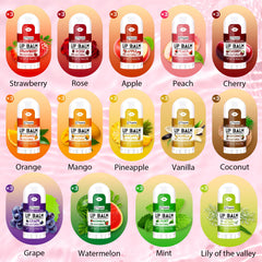 Yopela assortment laid flat displaying 14 flavors for easy selection