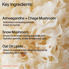 Youth To The People botanicals display showing mushroom and oat ingredients