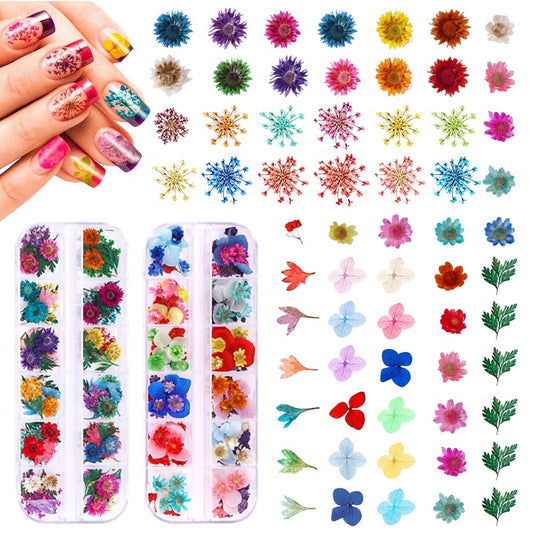 YWLI front packaging showing complete 216PCS kit and color variety for quick selection