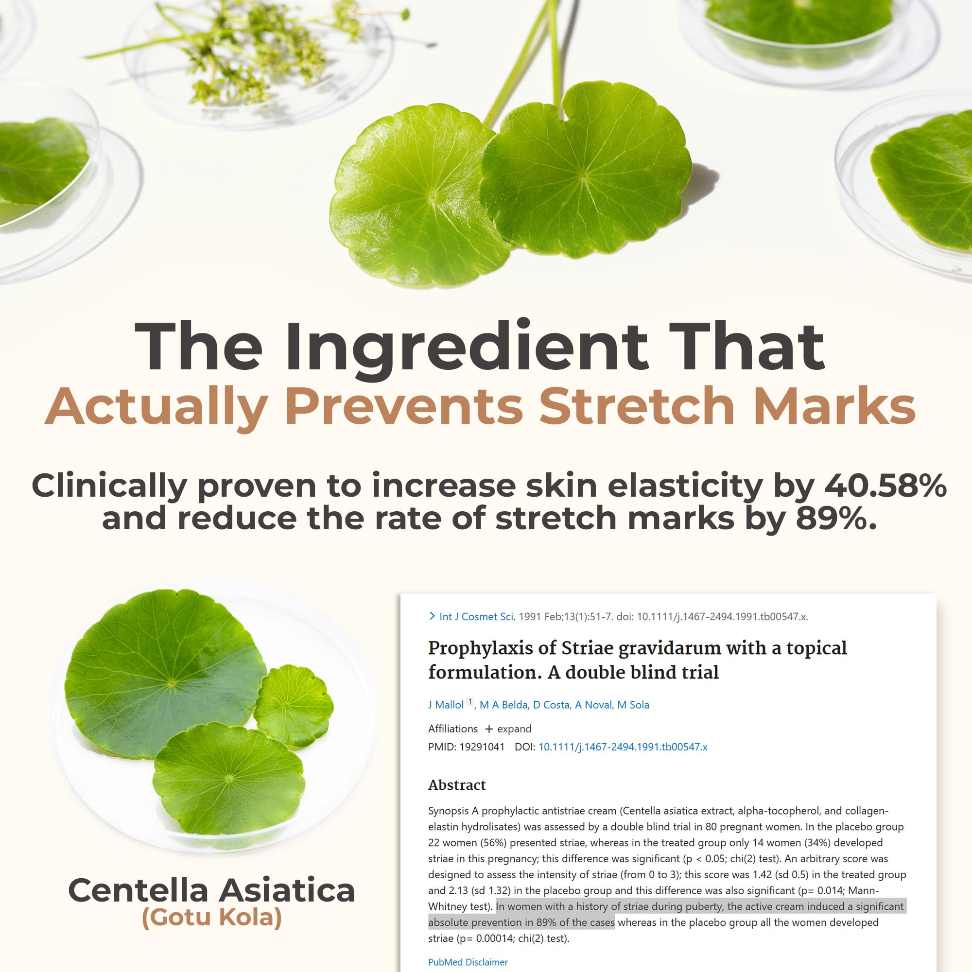 Natural Centella Asiatica leaves and hyaluronic molecular graphic beside 8 Sheep bottle showing botanical support