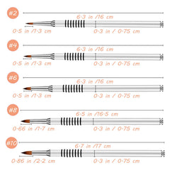 Accmor packaged brush and included sleeve for safe storage and protection