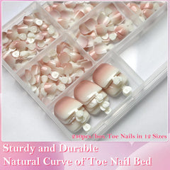 AddFavor size chart display with twelve sizes for accurate toe fit and comfort