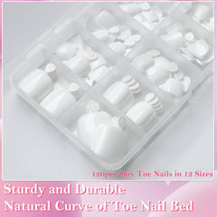 AddFavor numbered toe nail tips arranged to show 12 sizes for accurate fitting