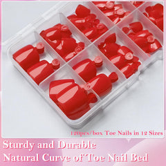 AddFavor storage case with glue, tabs, file and cuticle stick organized