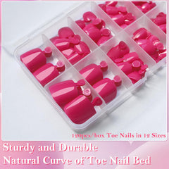 AddFavor open storage case organizing toe tips for easy reuse and convenient travel