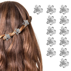 Aesnoun front packaging showing 20 silver flower clips and gift-ready look