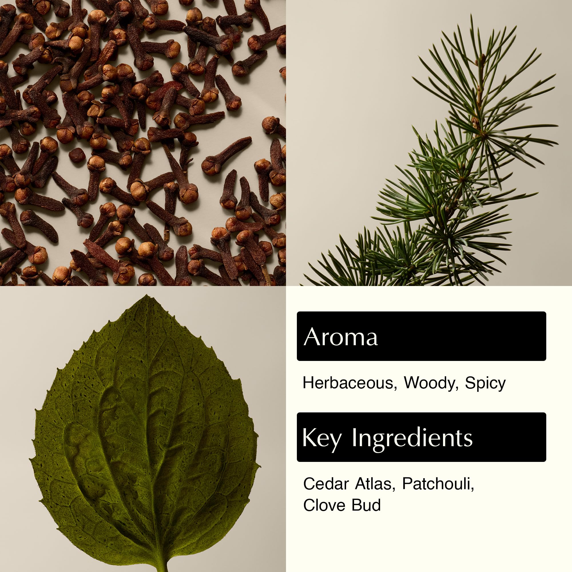 Aesop Eleos pump and label close-up highlighting recyclable bottle