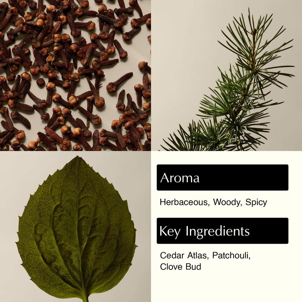 Aesop Eleos pump and label close-up highlighting recyclable bottle