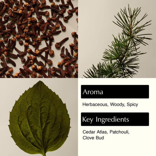 Aesop Eleos pump and label close-up highlighting recyclable bottle