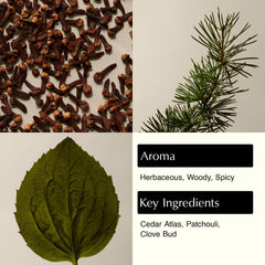 Aesop Eleos pump and label close-up highlighting recyclable bottle