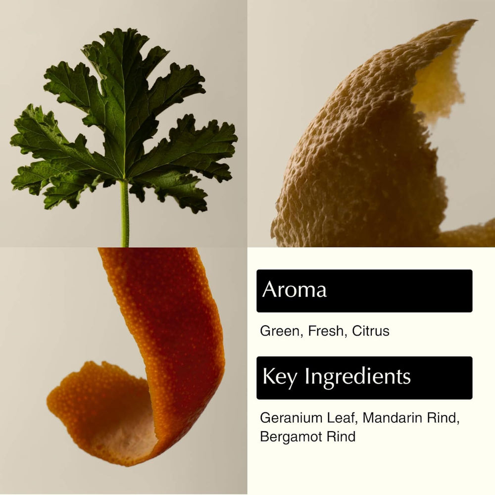 Aesop close-up gel texture demonstrating gentle lather and smooth application benefit