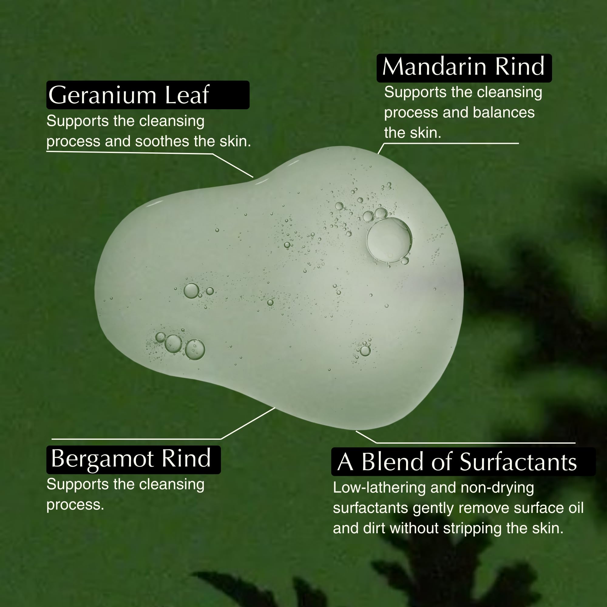 Aesop ingredients label close view highlighting geranium, mandarin and bergamot benefit