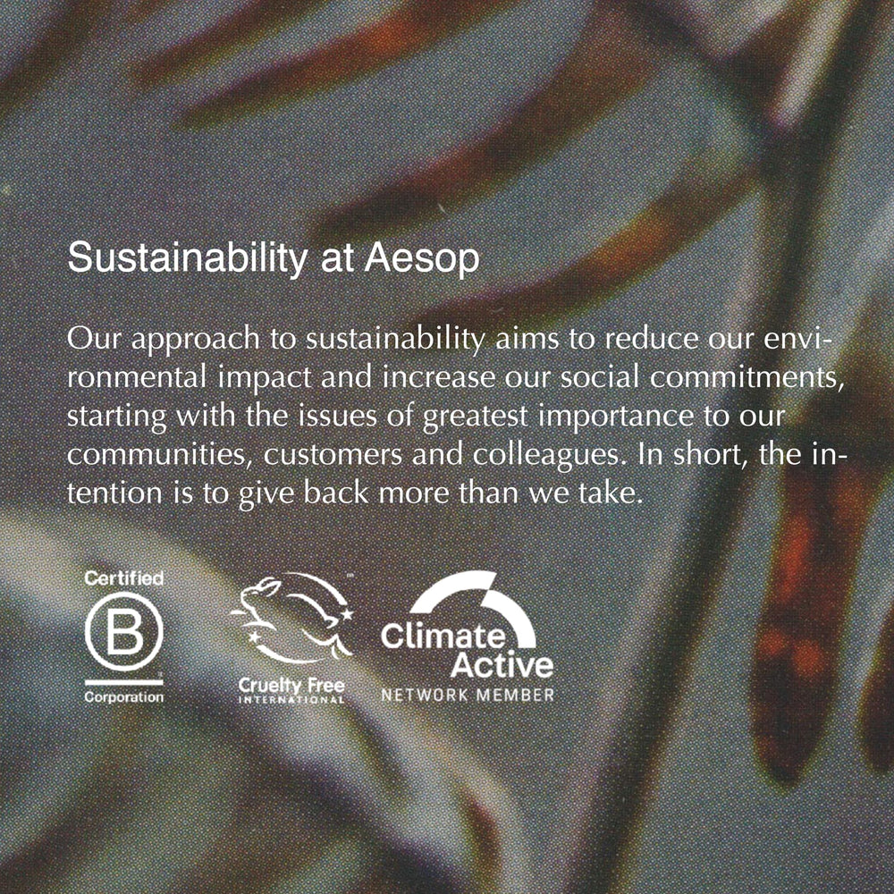 Aesop mandarin recycled bottle close-up showing recycled-plastic packaging advantage
