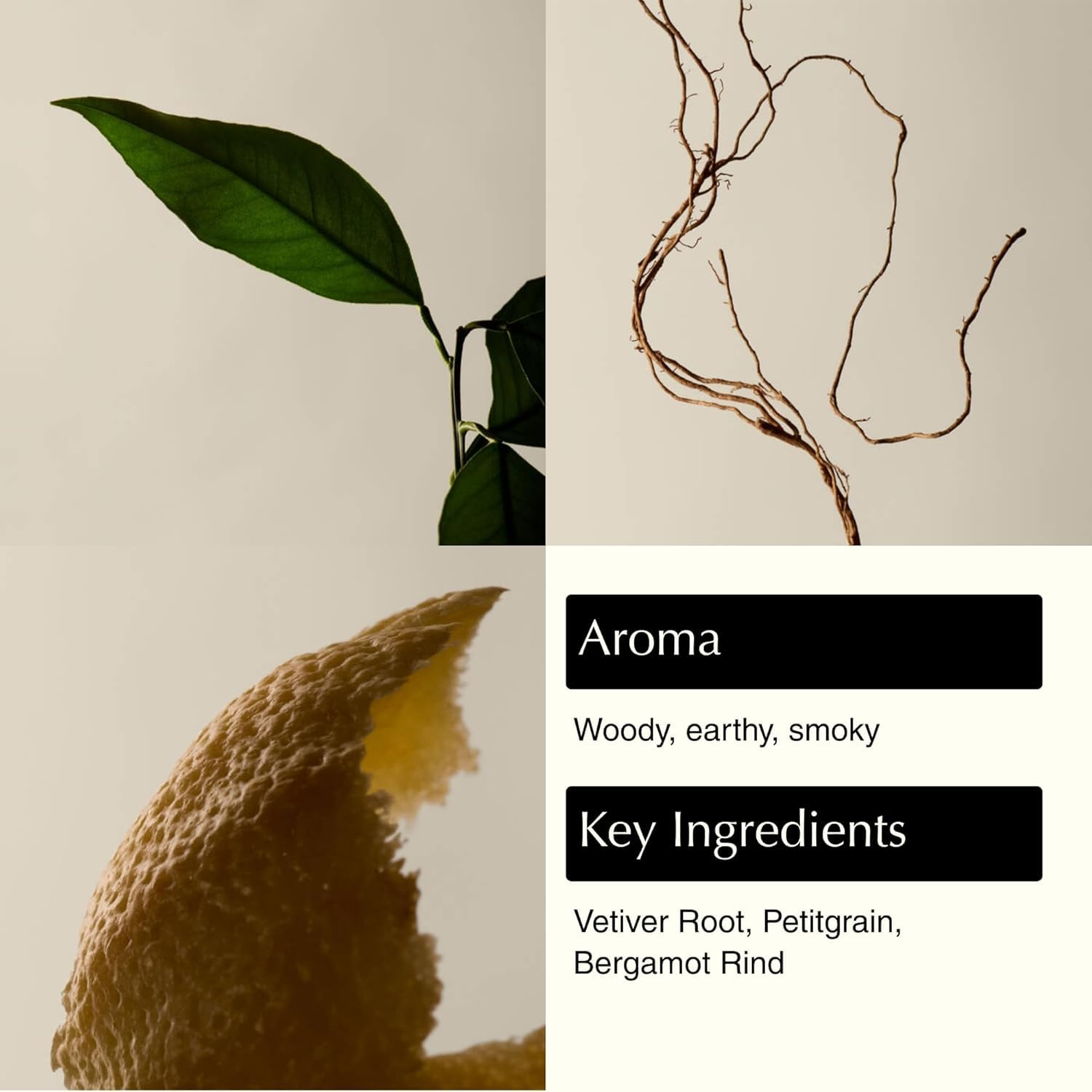 Aesop reverence pumice texture close up reveals fine exfoliating particles benefit