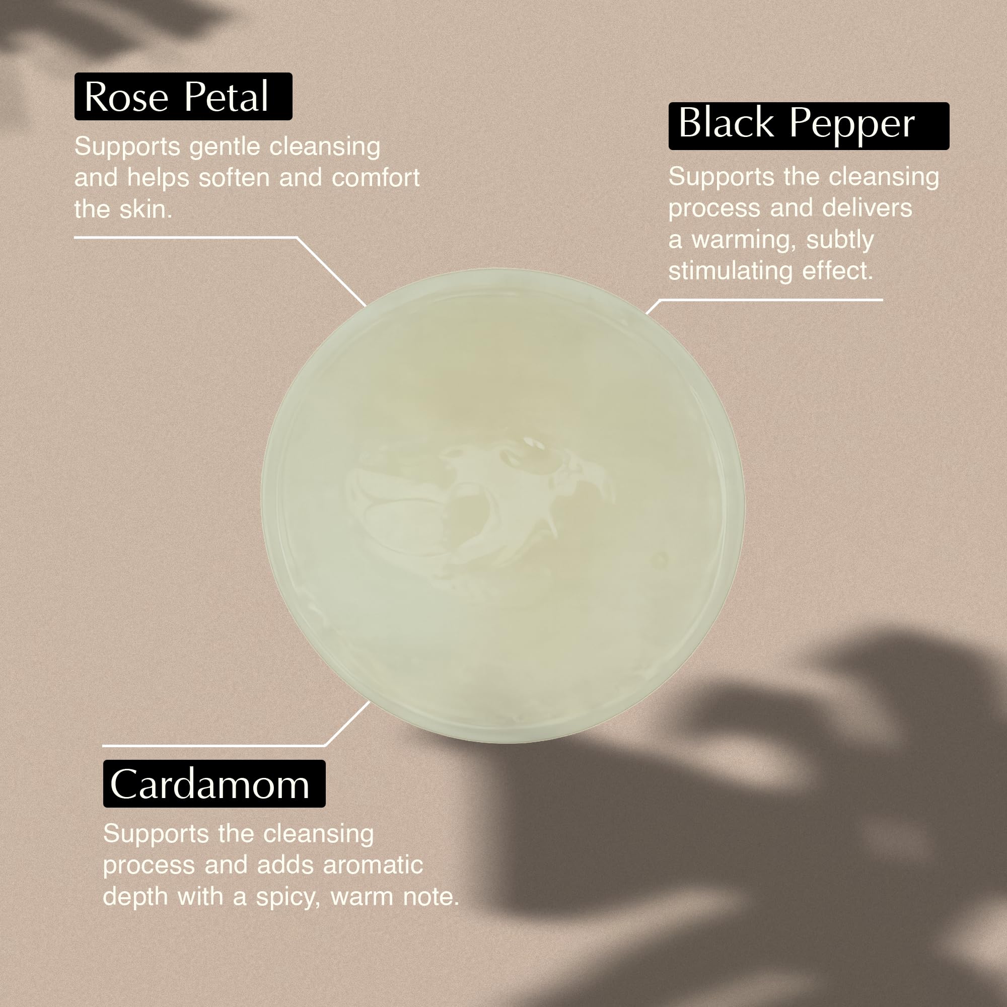 Label detail of Aesop cleanser listing rose and botanical ingredients for transparency