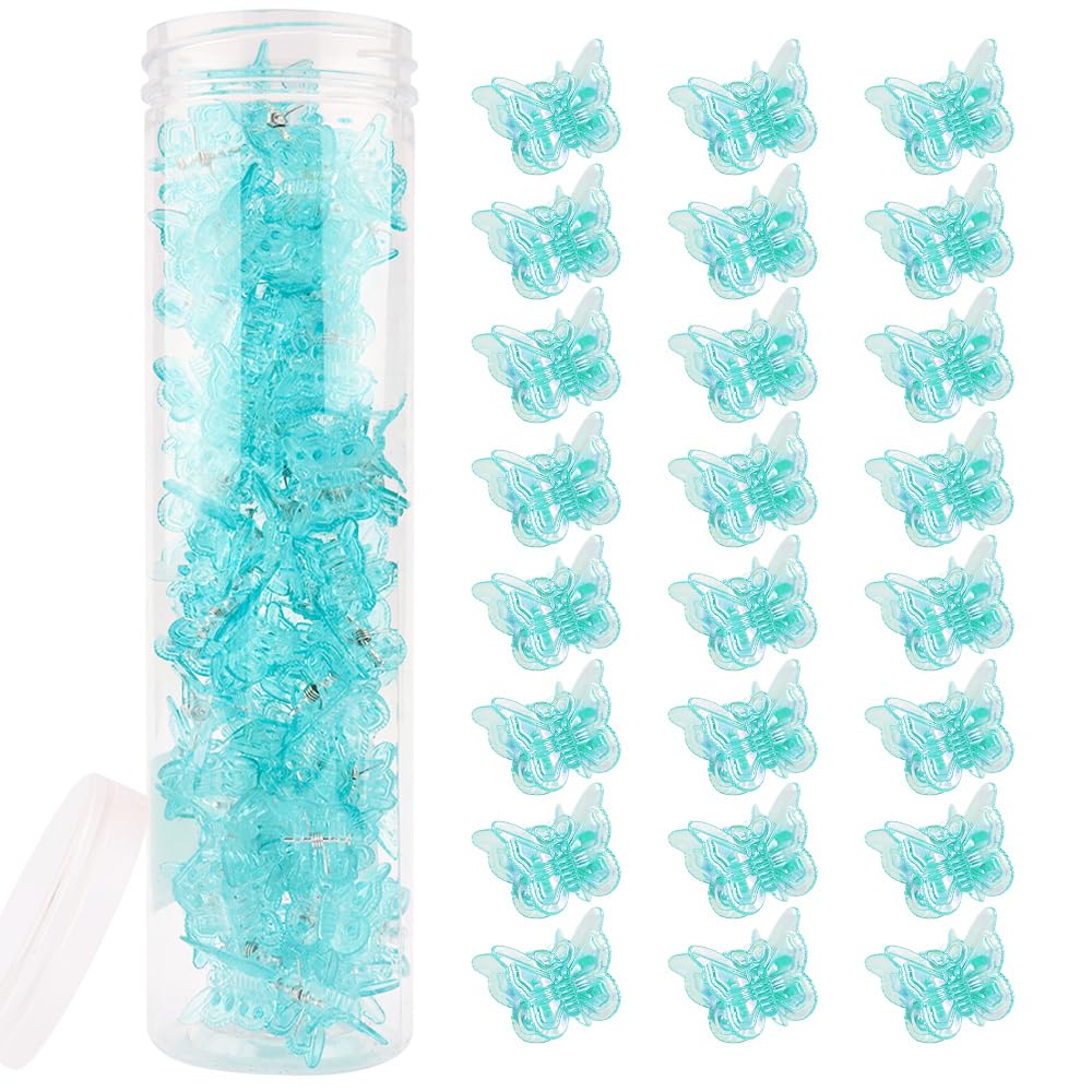 AHONEY front packaging clear box showing 60 blue butterfly clips for tidy storage