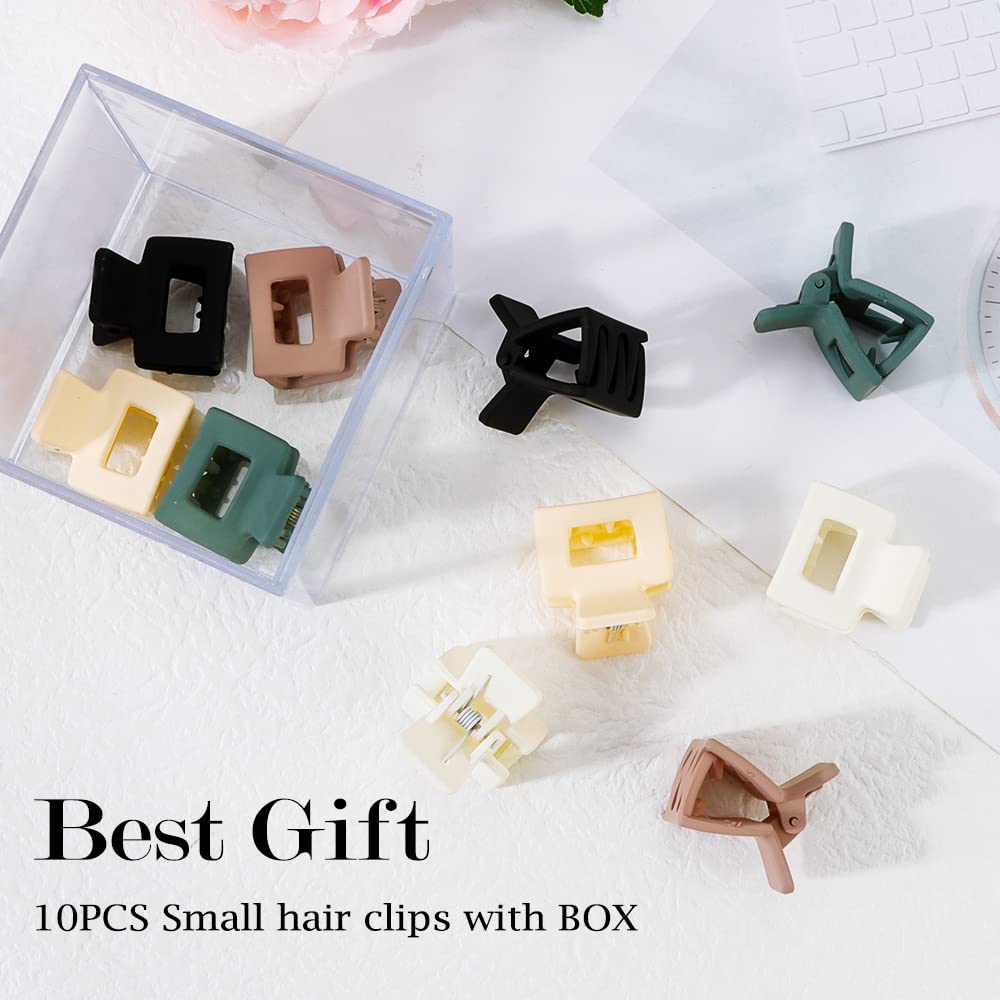 AHONEY storage box opened revealing organized clips and protective packing