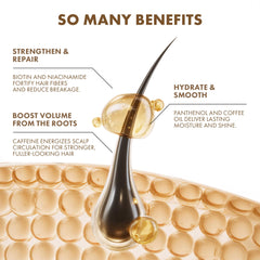 ALFHEIM shampoo applied to hair demonstrating lift at roots and fuller look