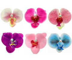 ALIMITOPIA floral clip front view showing bohemian accent and easy styling