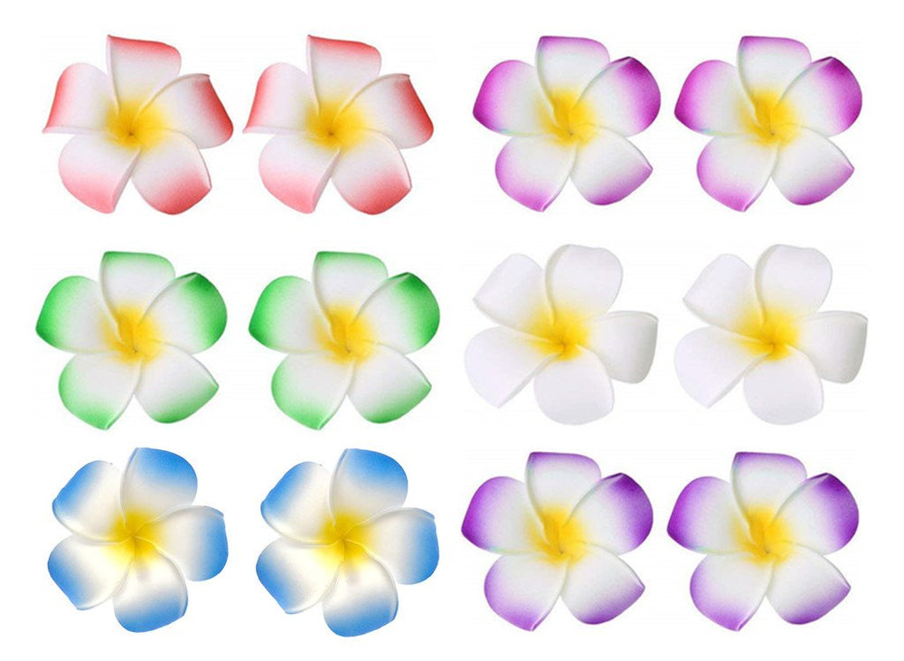ALIMITOPIA front packaging showing 12 plumeria clips and benefits of neat storage