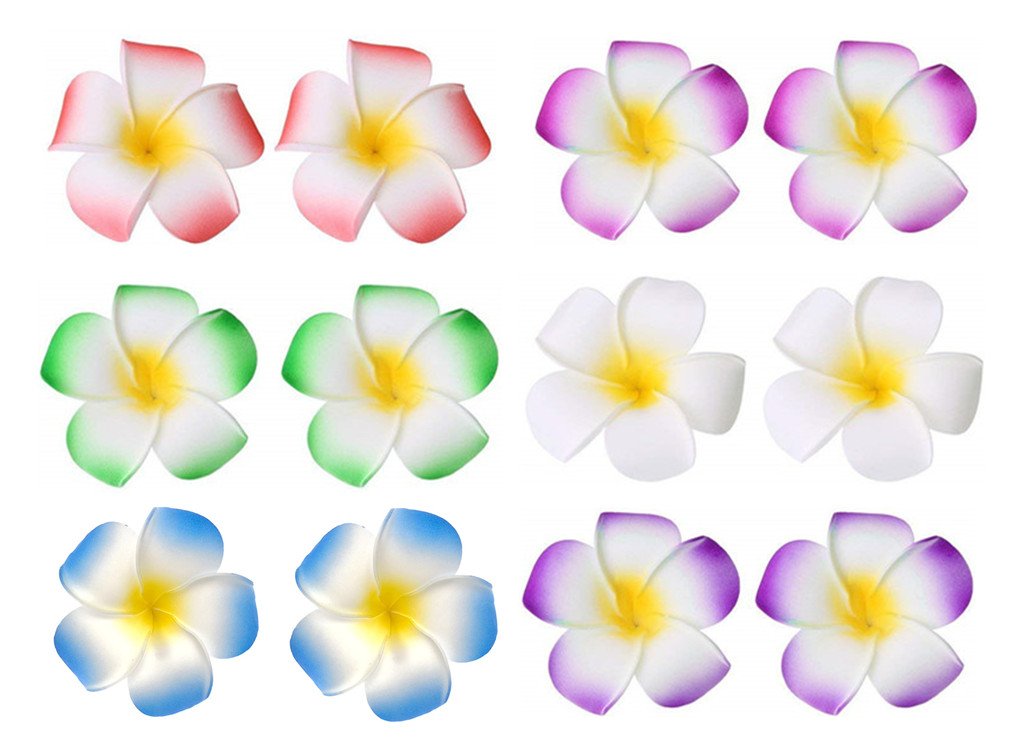 ALIMITOPIA front packaging showing 12 plumeria clips and benefits of neat storage