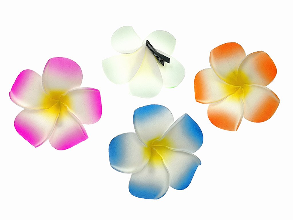 ALIMITOPIA plumeria beside hand showing medium size and travel-friendly scale
