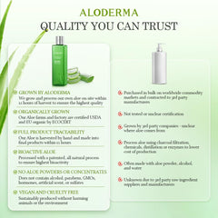 Aloderma aloe fields during harvest showing farm-to-face freshness benefit